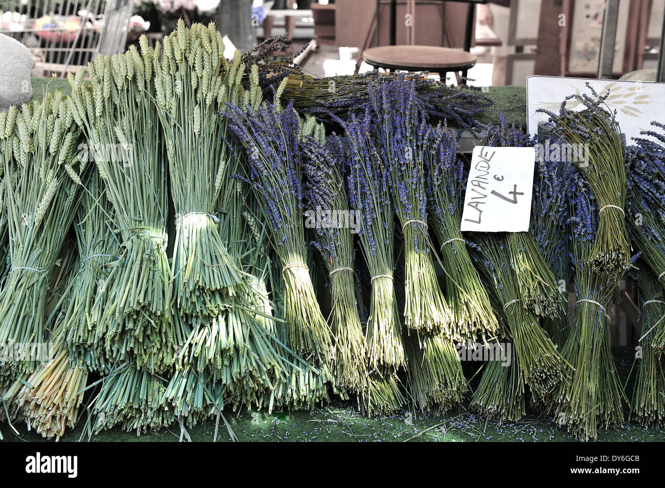 Lavendel und Mais Trauben. Bauernmarkt in Nizza, Provence, Frankreich Stockfoto