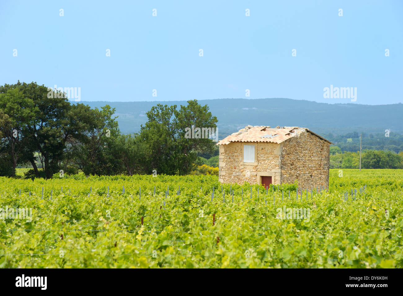 Weingut in Südfrankreich mit Haus in der Mitte Stockfoto