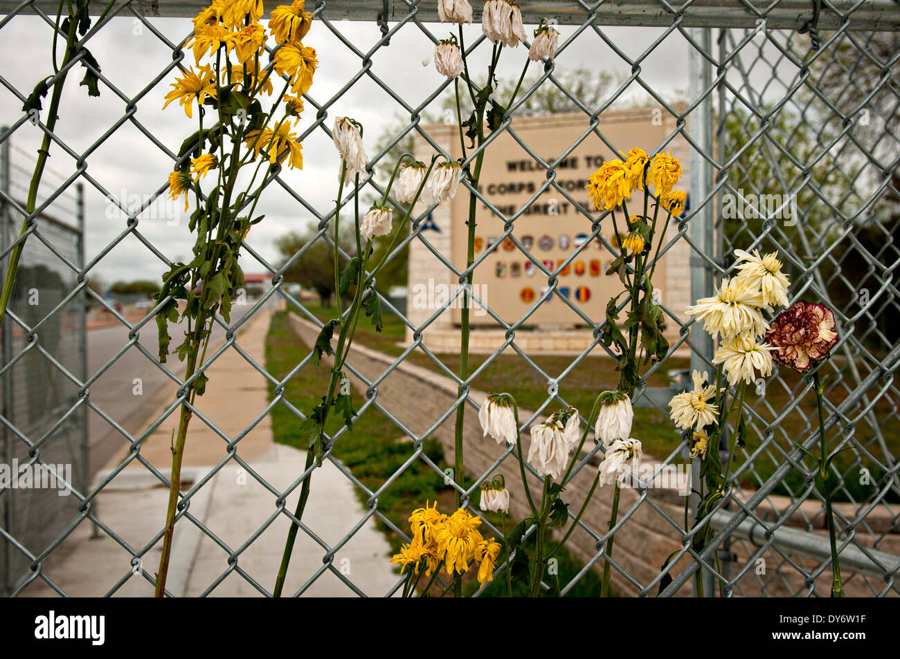Eine provisorische Gedenkstätte Blumen Hilfe für die Opfer des 2. April schießen neben dem Haupteingang Fort Hood 7. April 2014 in Fort Hood, Texas. Stockfoto