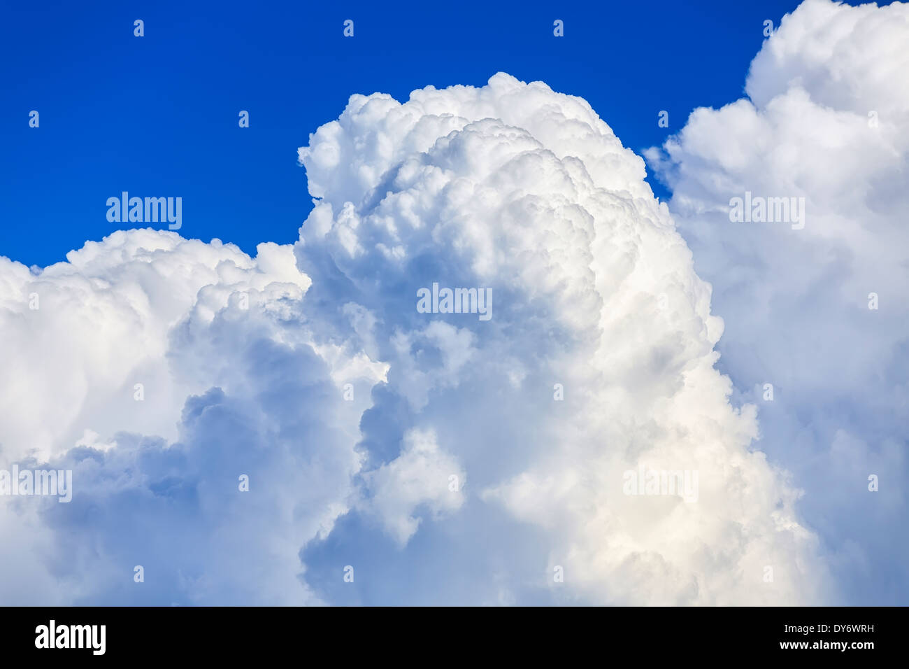 Cumulus Wolke Bildung, Nahaufnahme Stockfoto