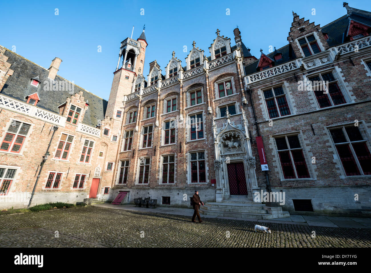 Burgplatz Brügge Belgien // BRÜGGE, Belgien — im frühen Morgenlicht spaziert Ein Einheimischer mit seinem Hund auf einer kopfsteingepflasterten Straße nahe der Burg. Die ruhige Szene fängt das tägliche Leben vor dem Hintergrund der erhaltenen mittelalterlichen Straßenlandschaft von Brügge ein. Dieser atmosphärische Moment zeigt, wie historische städtische Räume auch weiterhin dem modernen Stadtleben dienen. Stockfoto