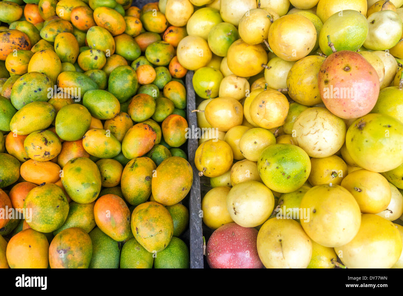 Frische Mangos und Passionsfrucht auf einem Markt in der Nähe von Santa Marta, Kolumbien Stockfoto