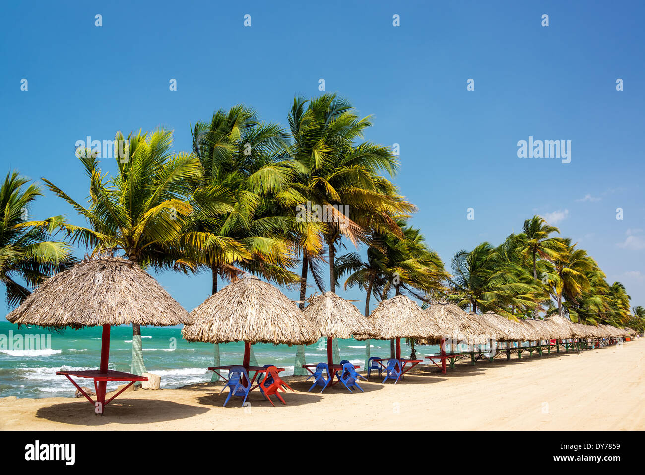 Reihe von Palmen und Tabellen zum Entspannen am an der karibischen Küste in Covenas, Kolumbien Stockfoto