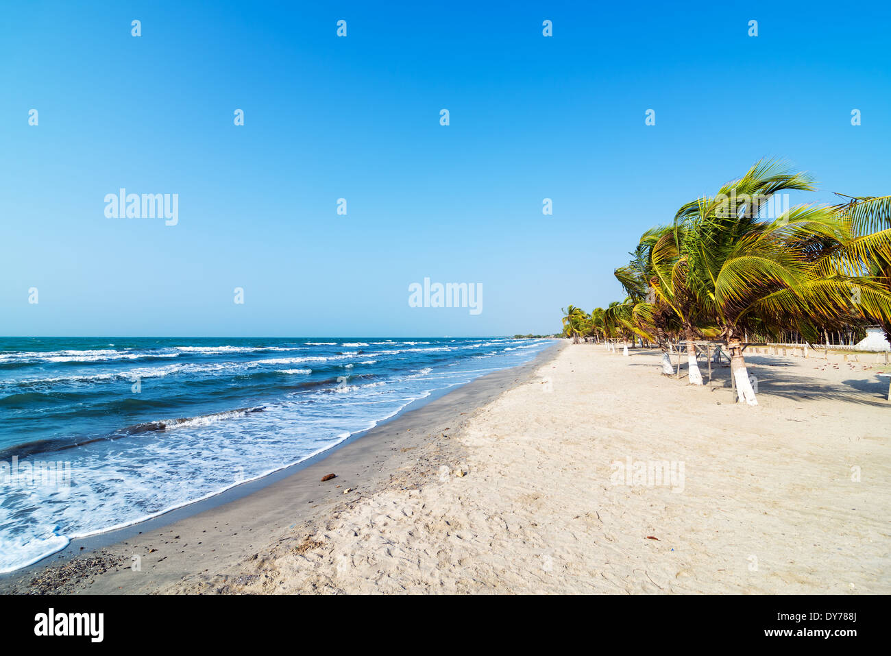 White Sand Beach und Palm Bäume an der kolumbianischen Karibikküste in Covenas Stockfoto