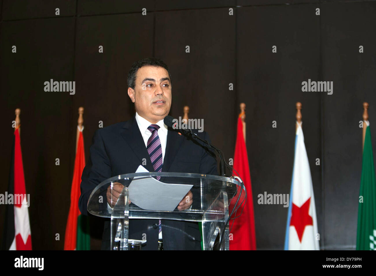 Tunis. 8. April 2014. Tunesiens Ministerpräsident Mehdi Jomaa spricht bei der Eröffnung des Forums der arabischen Finanzinstitutionen in Tunis 8. April 2014. © Xinhua/Alamy Live-Nachrichten Stockfoto