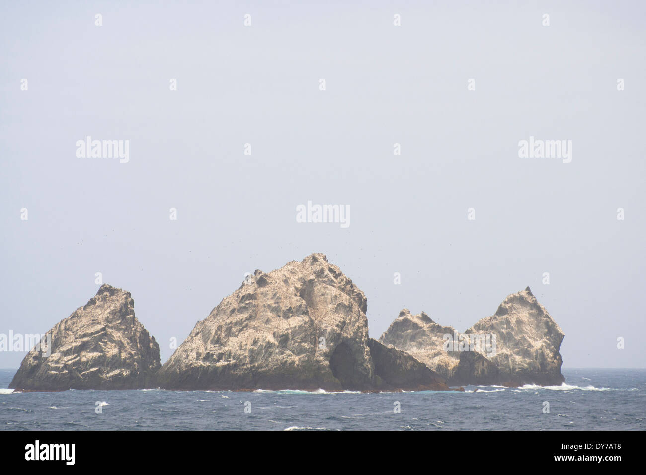 Shag Rocks, extrem abgelegenen Inseln zwischen Südgeorgien und der Antarktis. Stockfoto