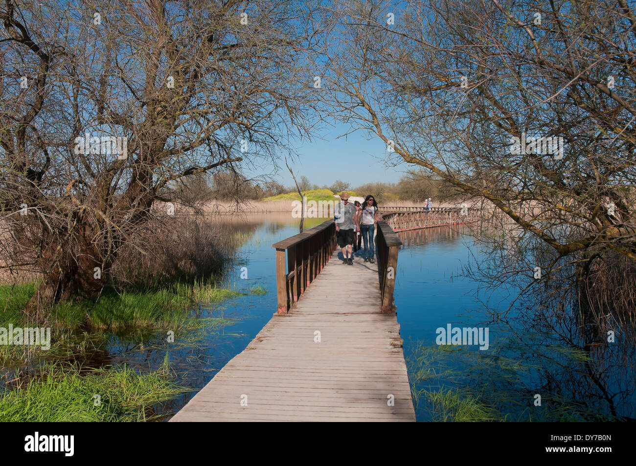 Tablas de Daimiel Nationalpark - Feuchtgebiet und Promenade, Ciudad Real-Provinz, Region Castilla - La Mancha, Spanien, Europa Stockfoto