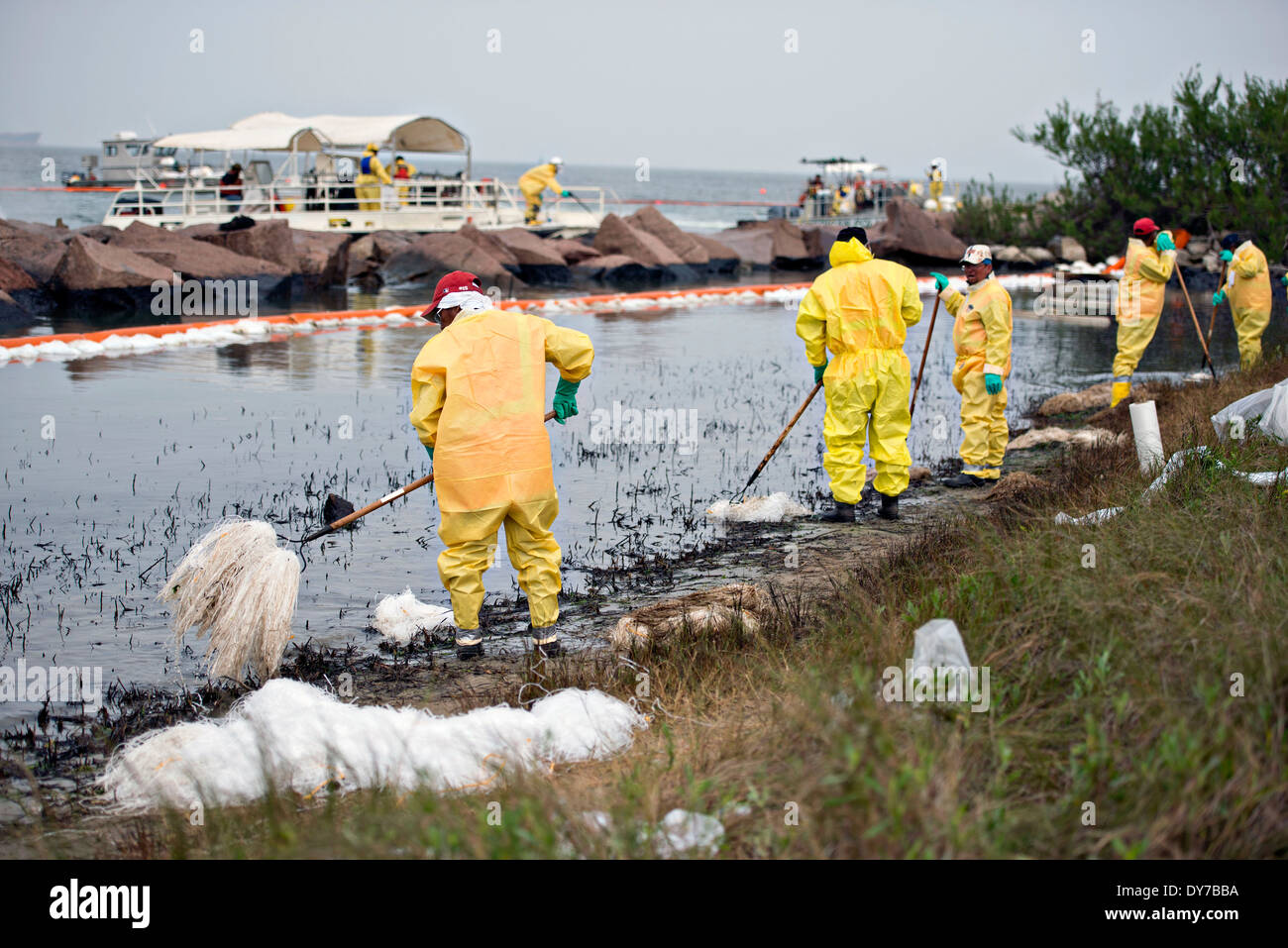 Responder arbeiten um Öl mit saugfähigem Pompons und Rechen in eines der am stärksten betroffenen Gebiete von einer Ölpest 3. April 2014 auf Galveston Island, Texas zu bereinigen. Stockfoto