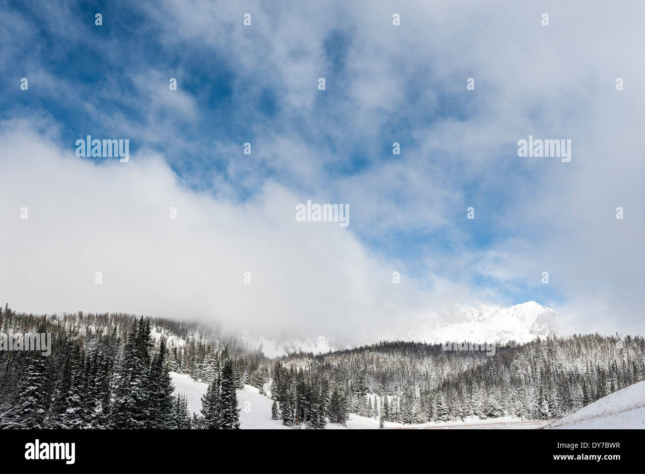 Die Westwand der spanischen Gipfel erhebt sich über Bienenstock-Becken und die Lee Metcalf Wilderness Area außerhalb Big Sky, Montana. Stockfoto