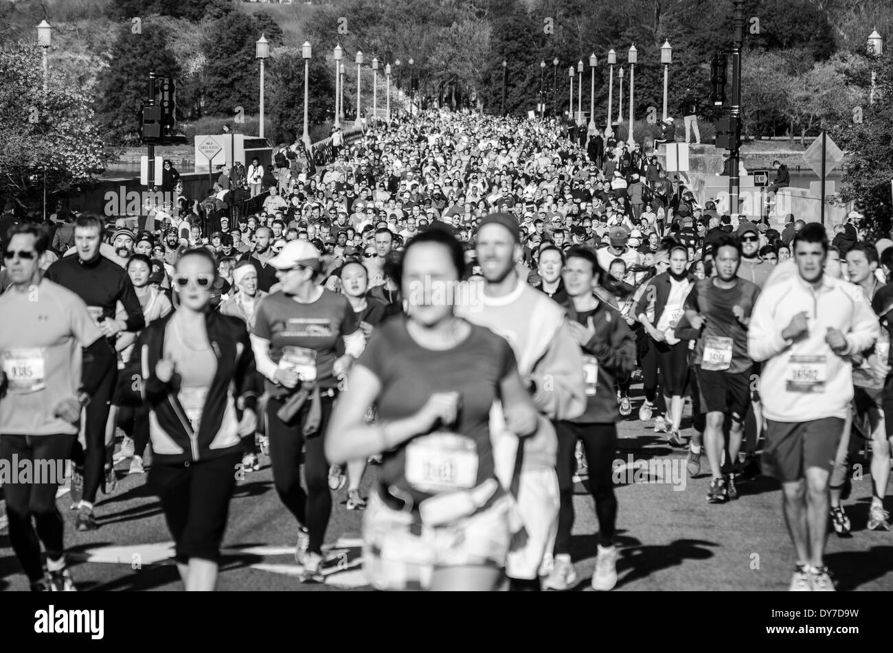 Läufer, die im Wettbewerb in Washington DC Cherry Blossom 10 Meilen Rennen Stockfoto
