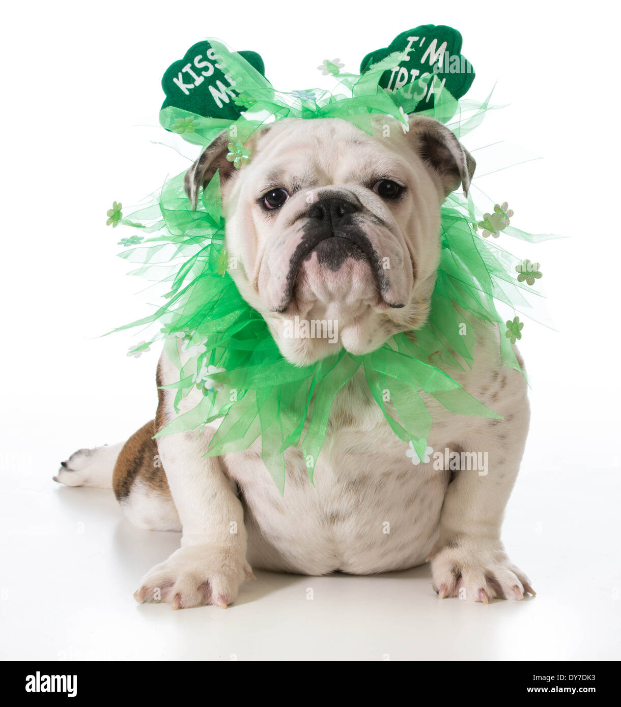 Süßer St. Patrick‘s Day Tutu-Rock Für Hunde – Grüner Netztutu Für Partys & Fotos
