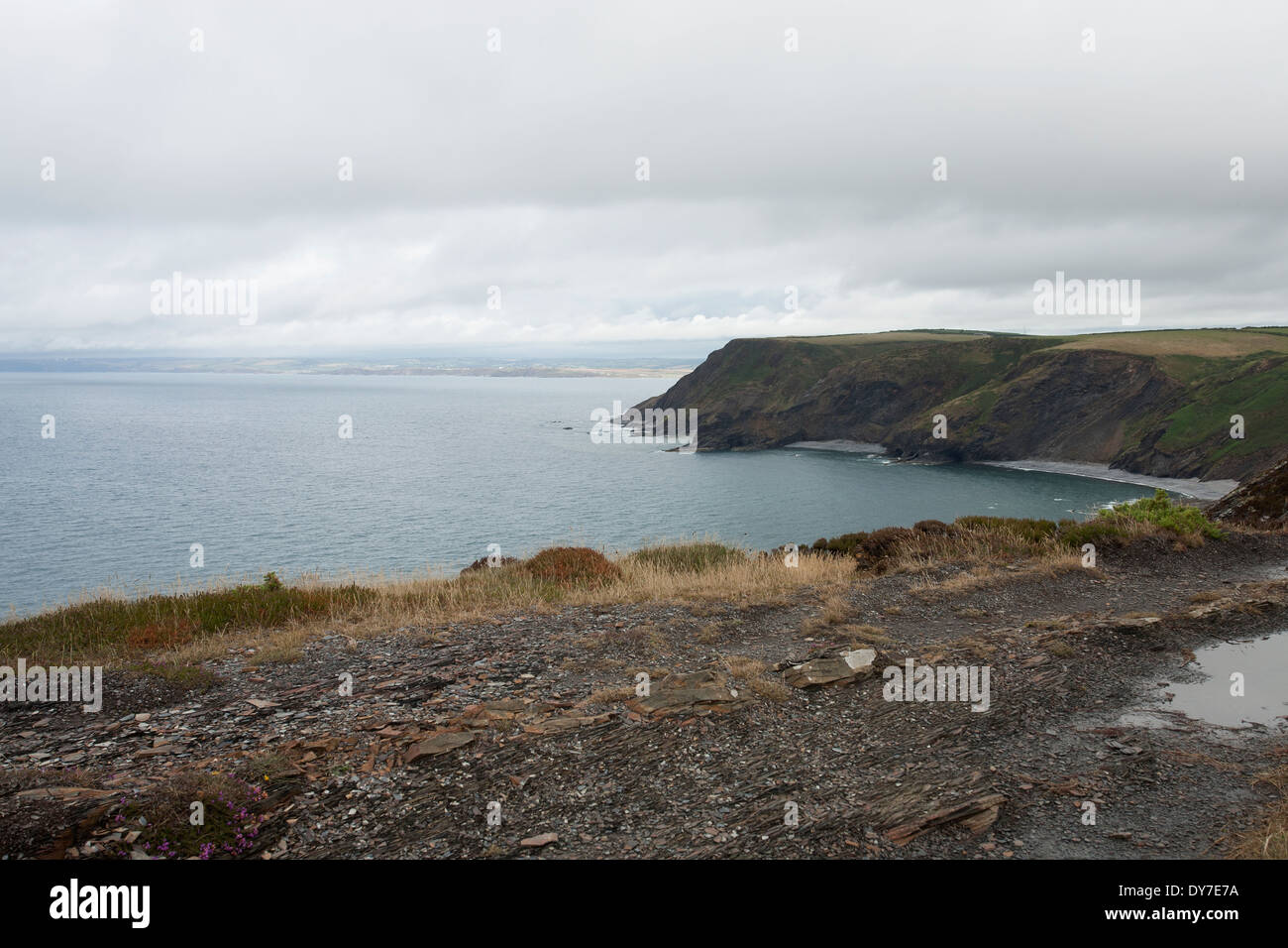 Blick entlang der Küste Nord-Cornish zwischen Richtung Crackington Haven von Boscastle Stockfoto