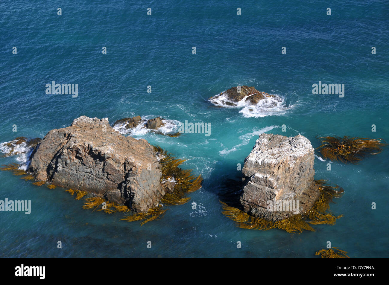 Felsen am Nugget Point, Catlins Coast, Südinsel, Neuseeland Stockfoto