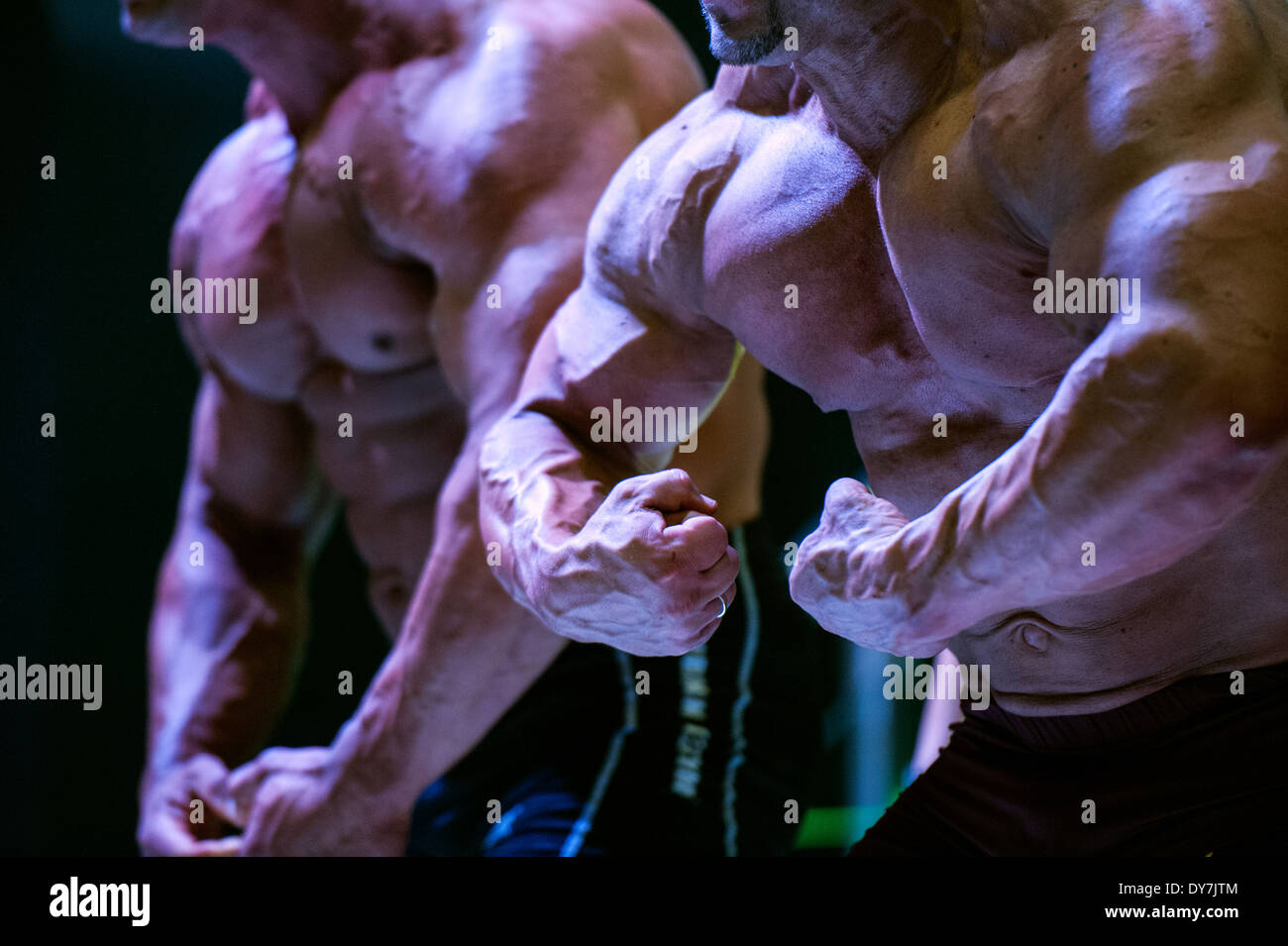 Detail von einem männlichen Bodybuilder während der Fitness-Messe FIBO in Köln, 2014. Stockfoto