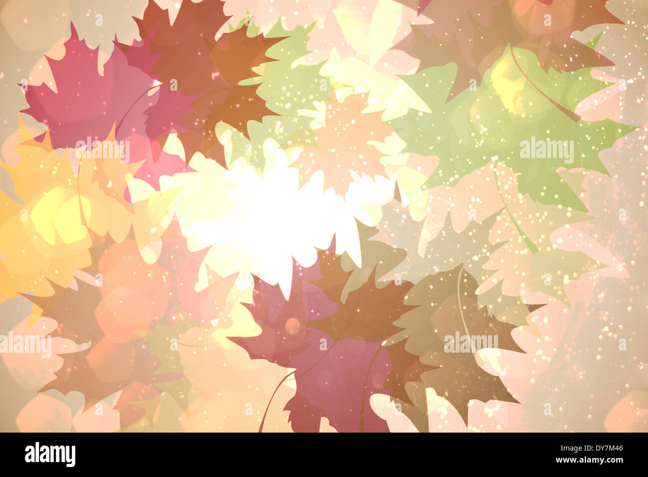 Herbstliche Blattmuster in warmen Tönen Stockfoto