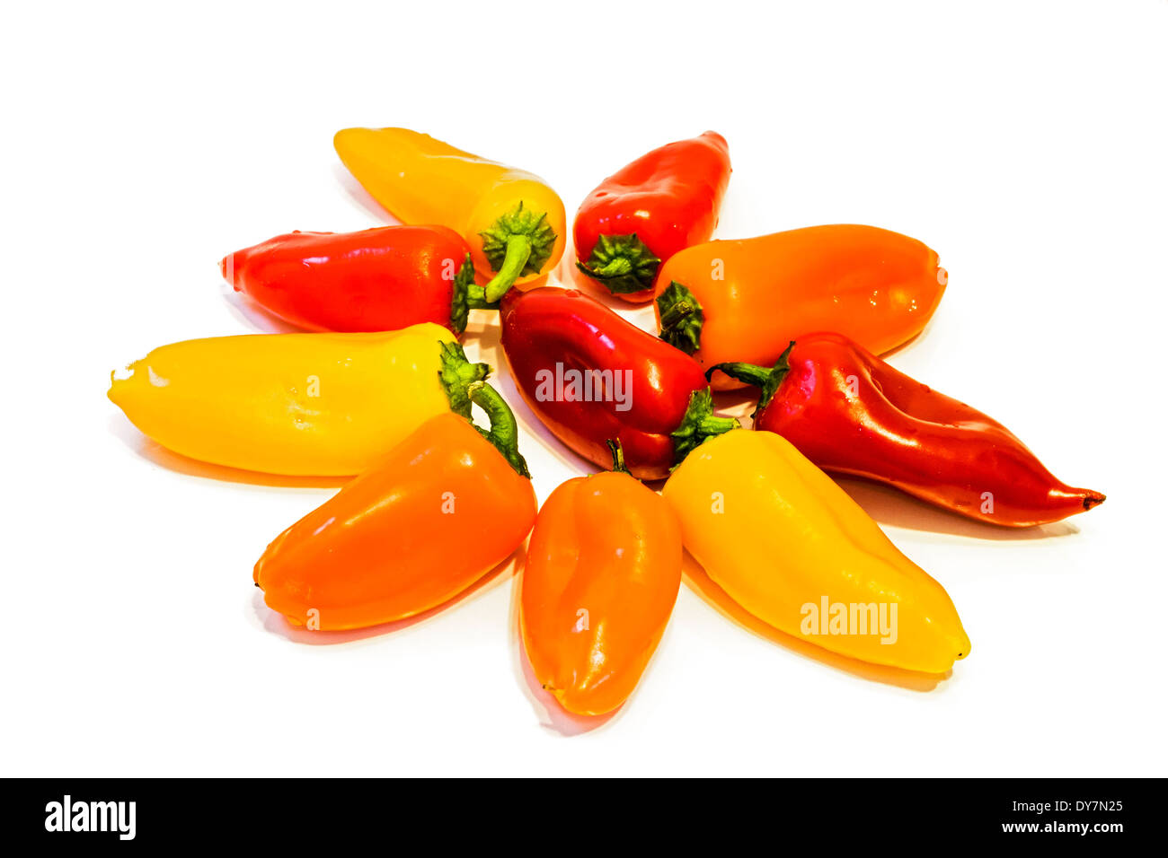 Foto der kleinen Paprikas isoliert auf weißem Hintergrund. Stockfoto