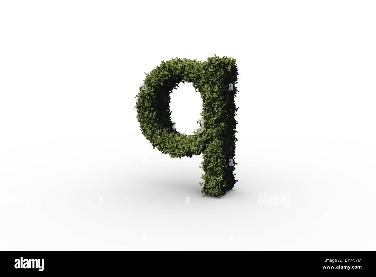 Kleinbuchstaben Buchstaben Q gemacht der Blätter Stockfoto