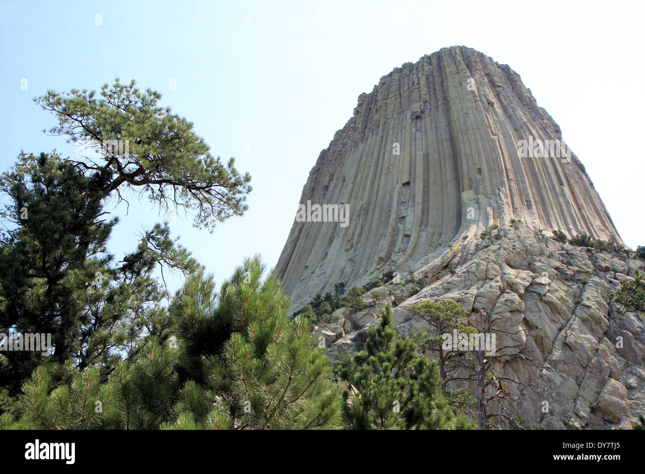 Devils Tower Nationalmonument, Crook County, Wyoming, USA Stockfoto