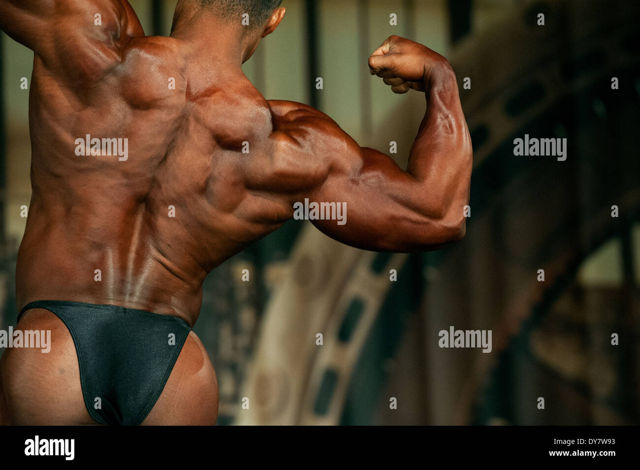 Detail von einem männlichen Bodybuilder während der Fitness-Messe FIBO in Köln, 2014. Stockfoto