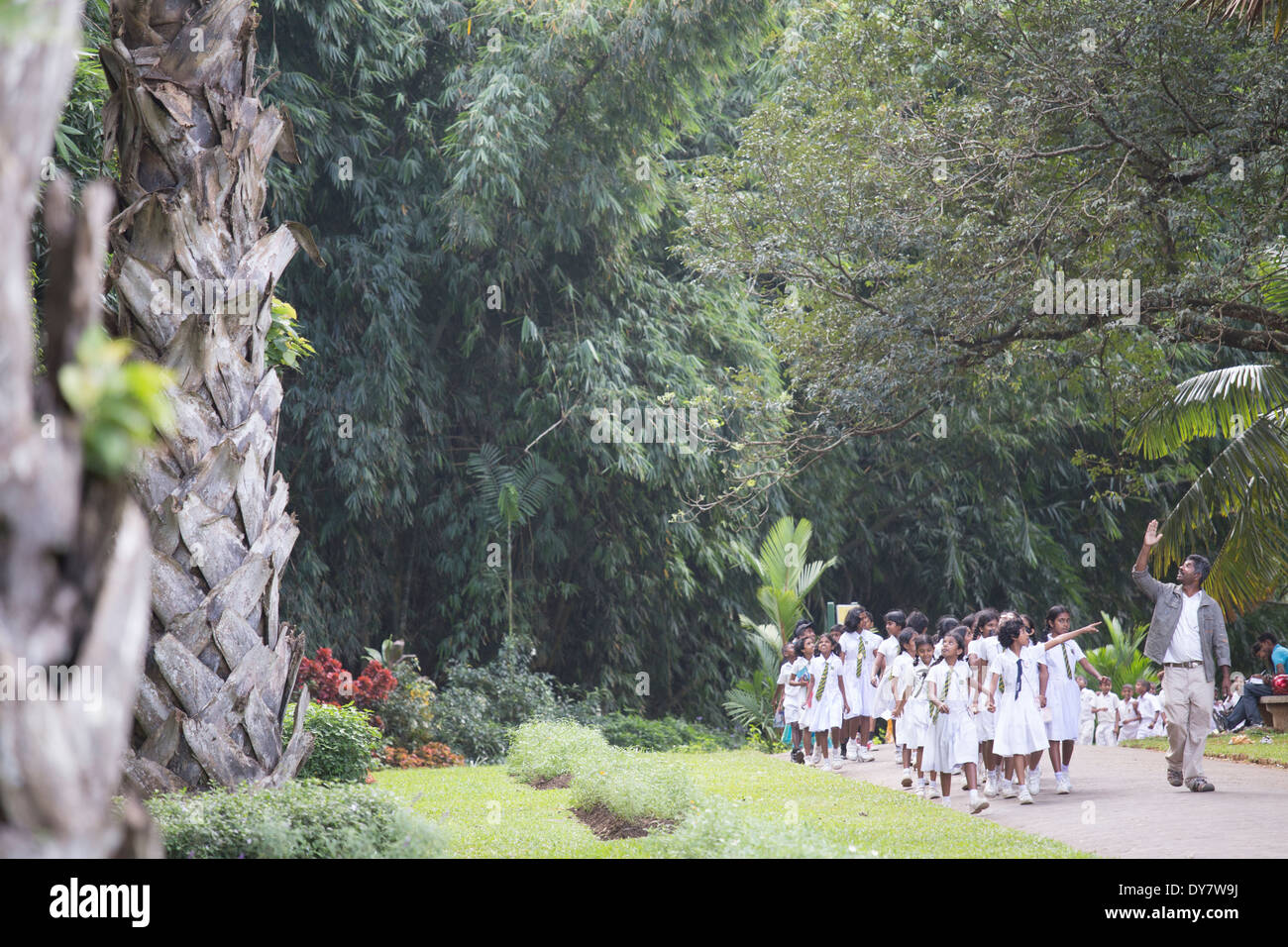 Schulausflug nach Royal Botanical Gardens, Peradeniya, Kandy, Sri Lanka Stockfoto