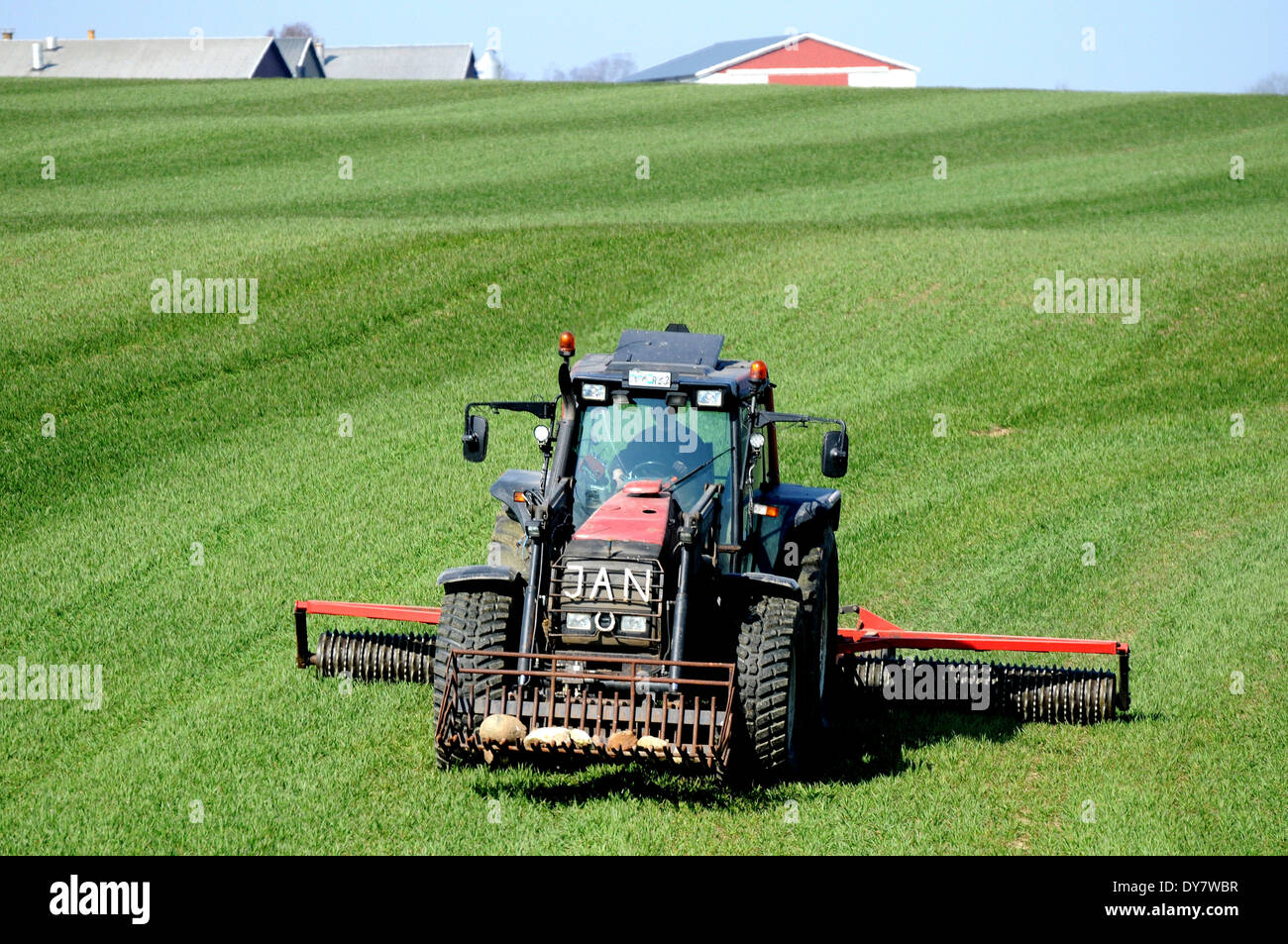 Traktor mit Cambridge-Walze arbeitet auf grünen Wiesen im Frühjahr Landwirtschaft. Th-Bauernhof am Horizont, Ruuthsbo, Scania, Schweden Stockfoto