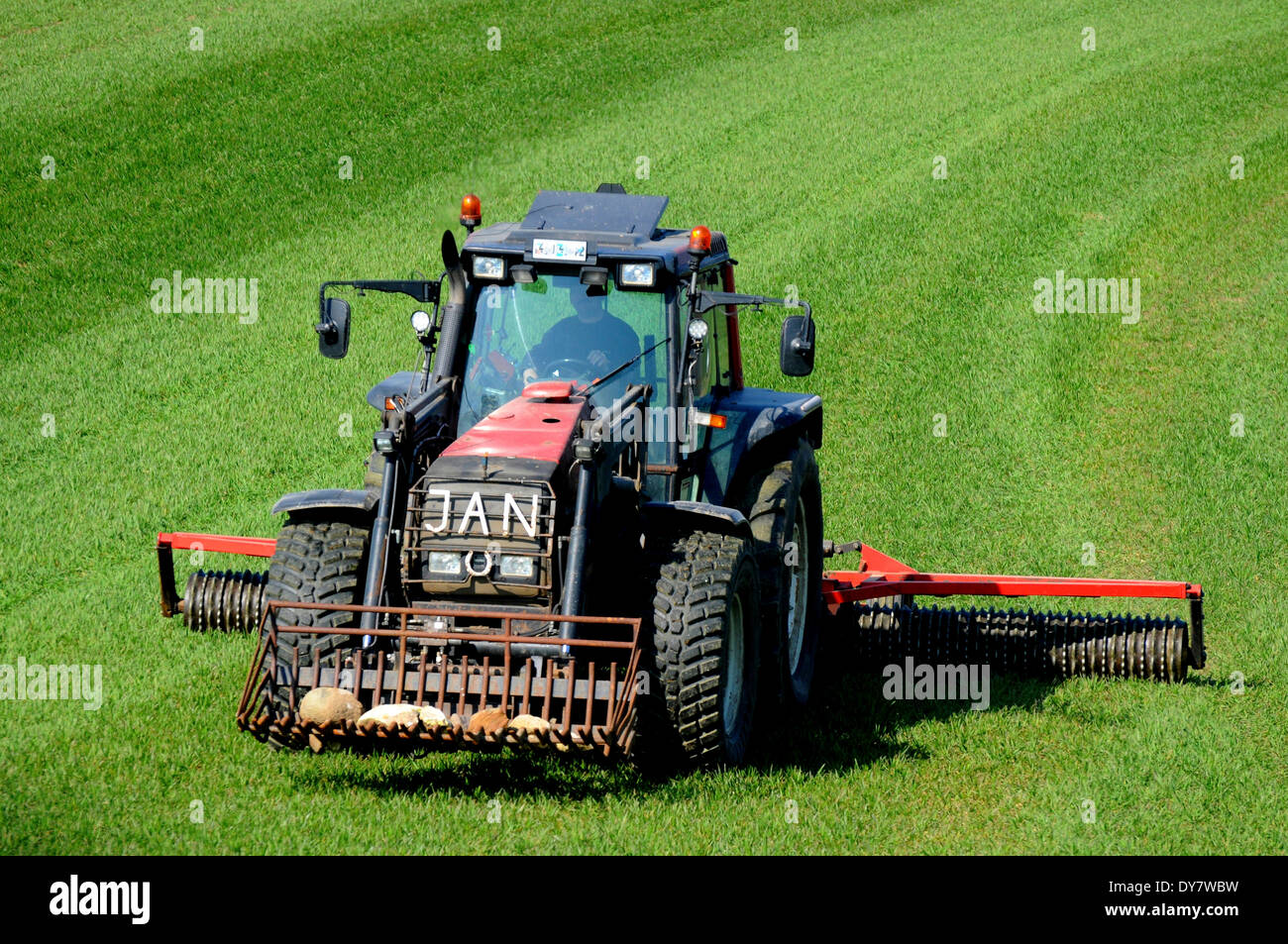 Traktor mit Cambridge-Walze arbeitet auf grünen Wiesen im Frühjahr Landwirtschaft. Ruuthsbo, Scania, Schweden Stockfoto