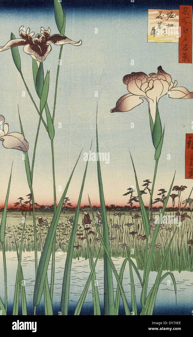 Utagawa Hiroshige 100 berühmte Ansichten von Edo - Nr. 64 Horikiri Irisgarten (Horikiri keine Hanashobu) Stockfoto