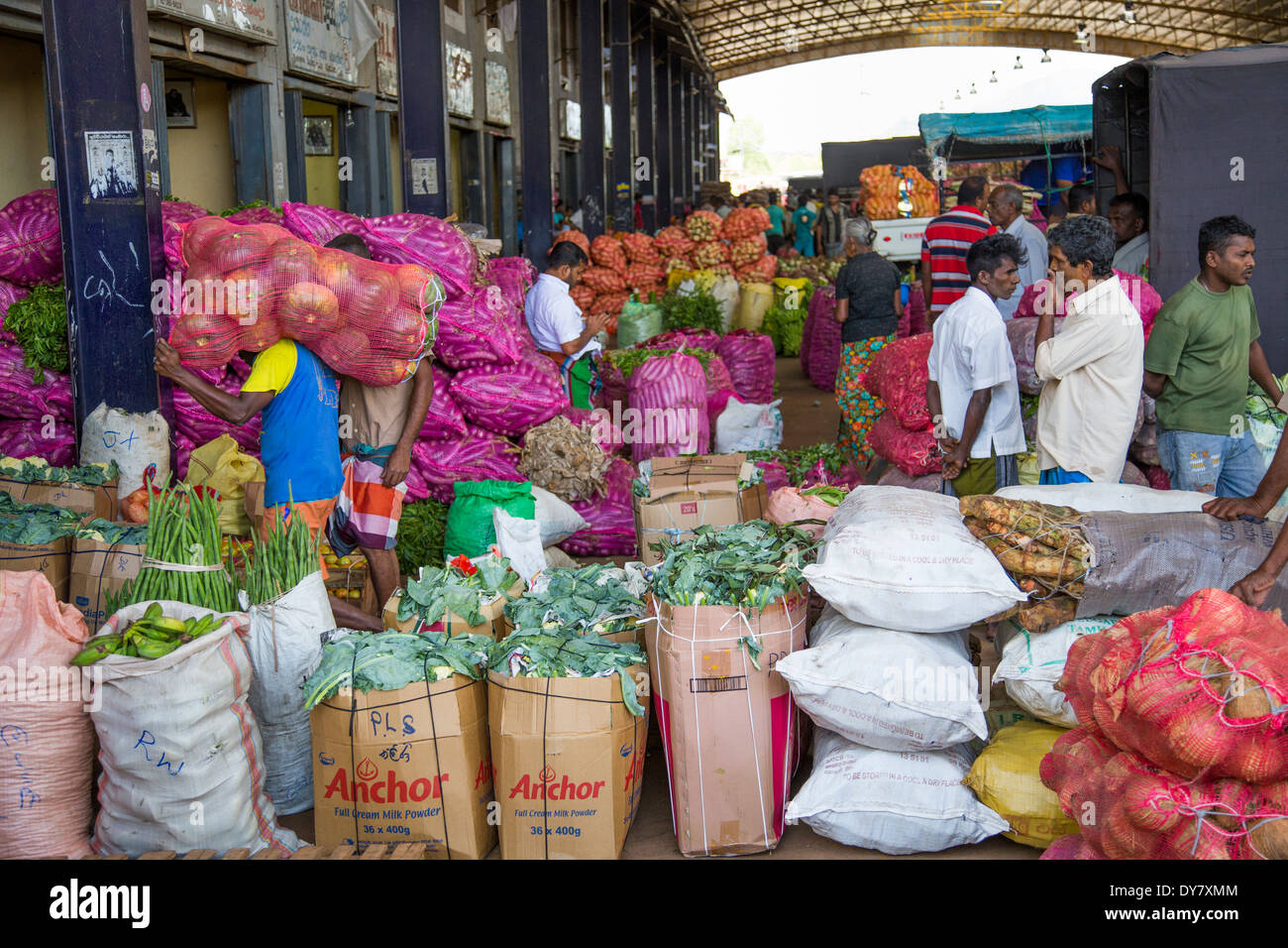 Gemüsemarkt in Colombo, Sri Lanka Stockfoto