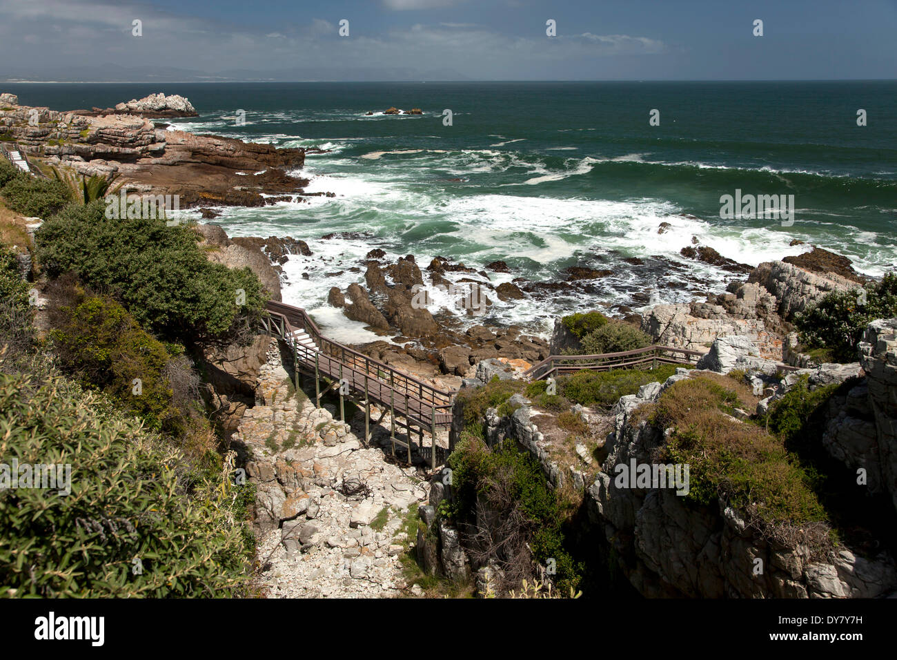 Klippen von Hermanus, Western Cape, Südafrika Stockfoto
