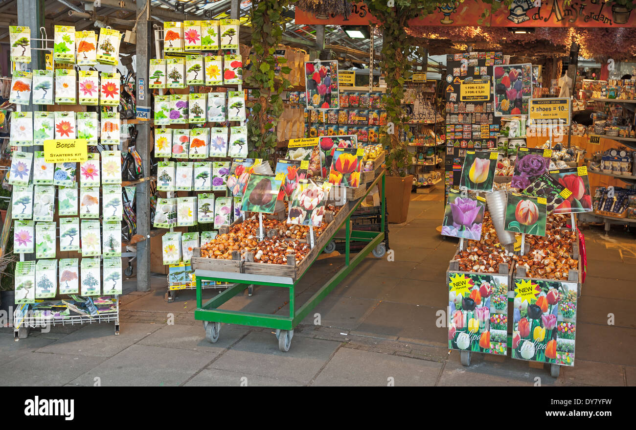 AMSTERDAM, Niederlande - 19. März 2014: Dekorative Blumenzwiebeln und Samen auf dem Tresen der größten schwimmenden Markt Stockfoto