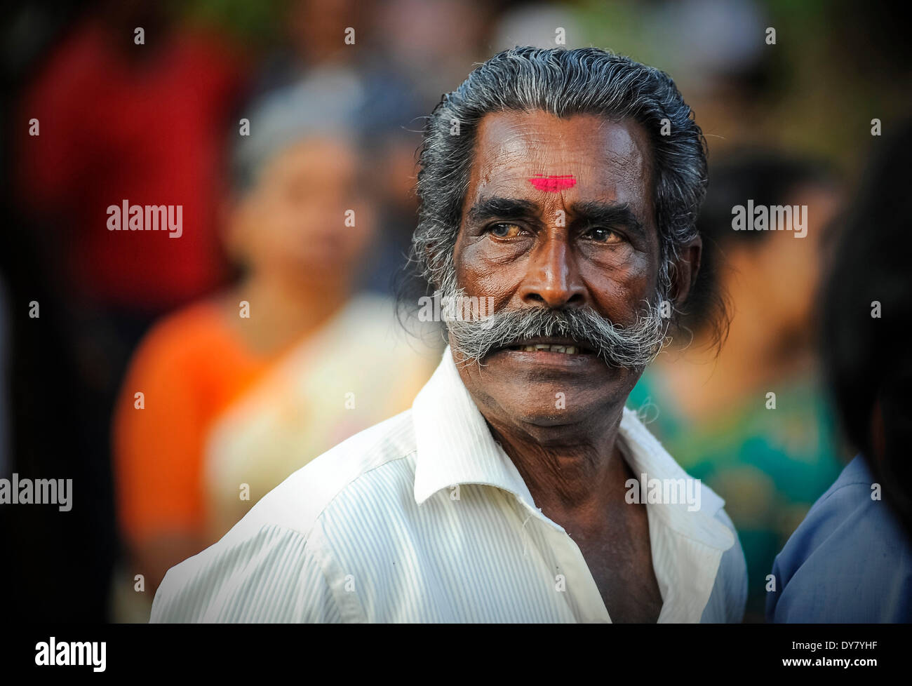 Älterer Mann mit einem Bindi, Portrait, Kerala, Südindien, Indien Stockfoto