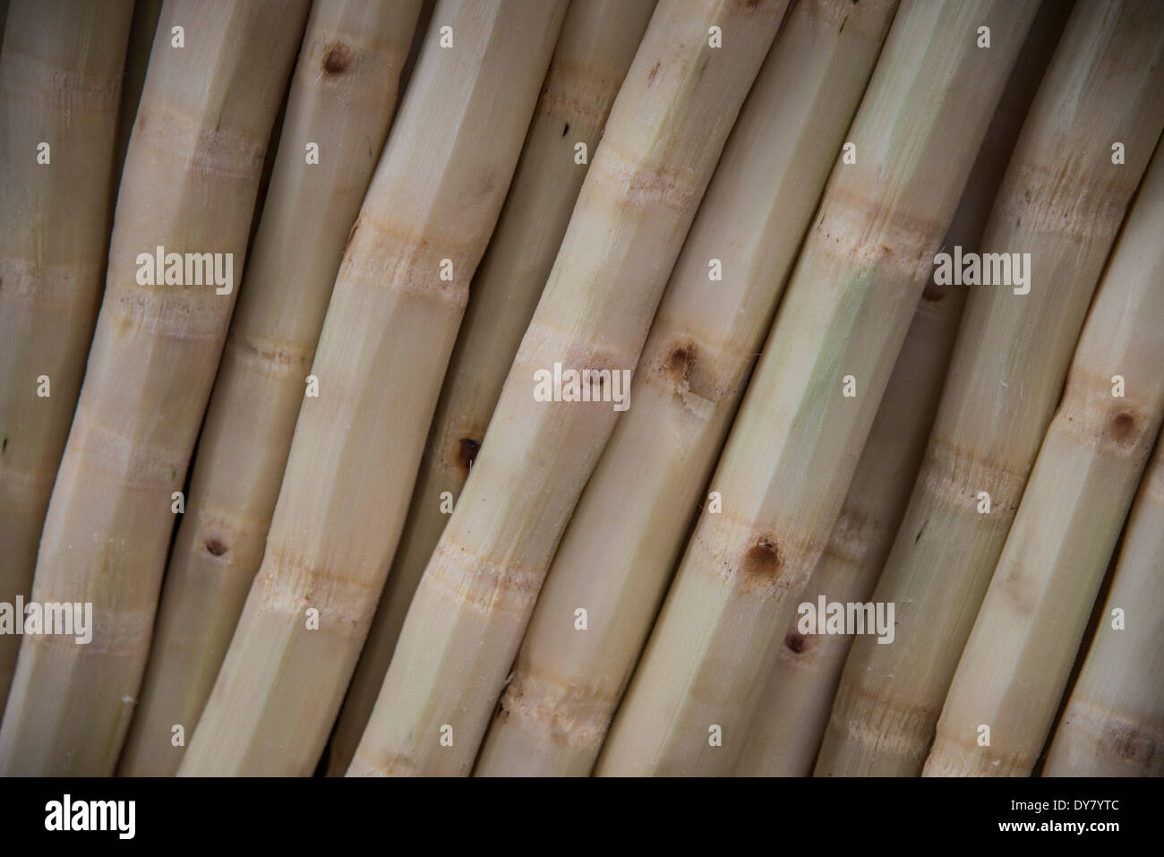 Geschälte Bambus ergibt sich bei einem Markt, Xian, Provinz Shaanxi, China Stockfoto