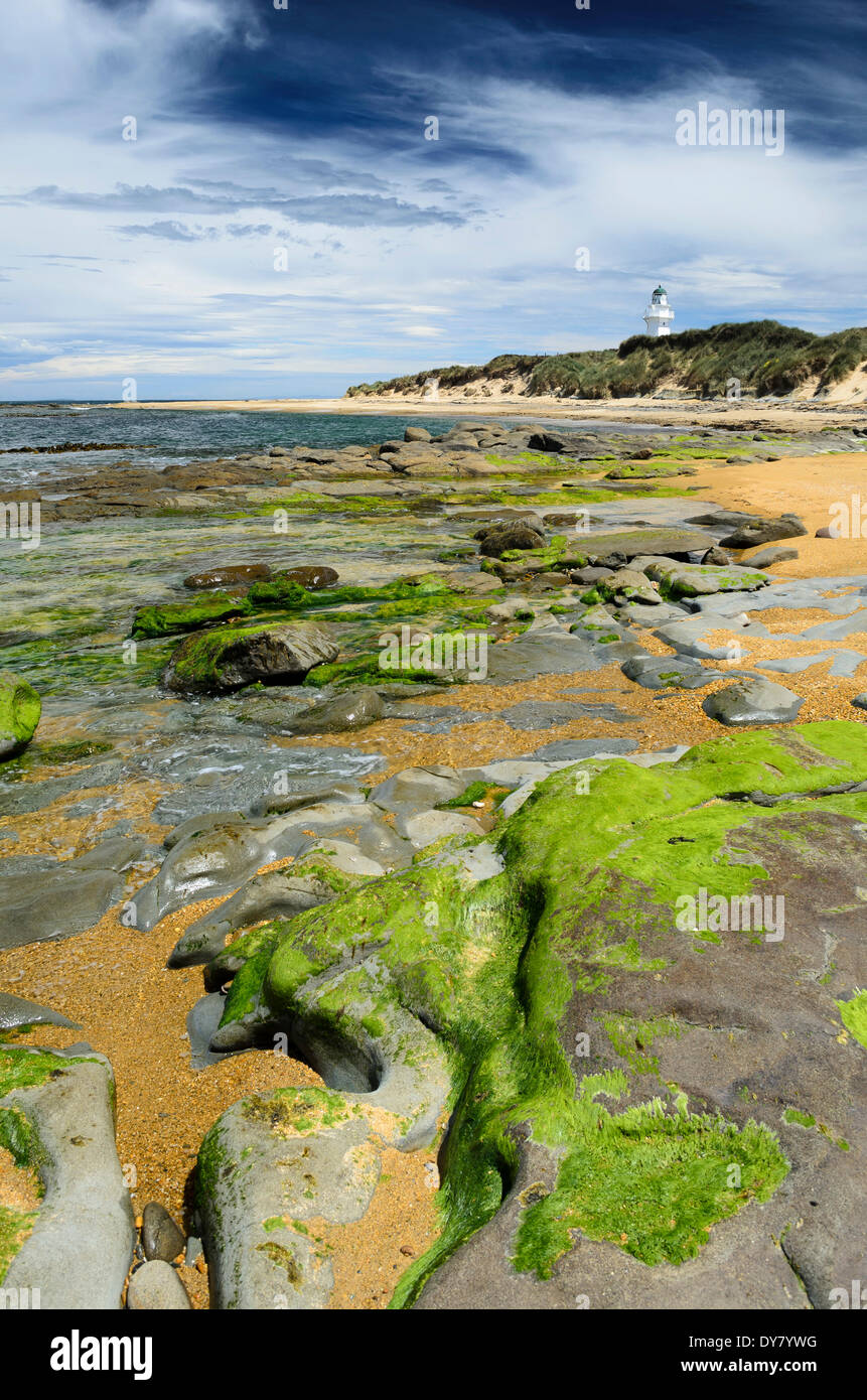 Leuchtturm am Waipapa Point mit Wolken am Himmel, Algen bedeckt Felsen an der Front, Otara, Fortrose, Region Southland Stockfoto