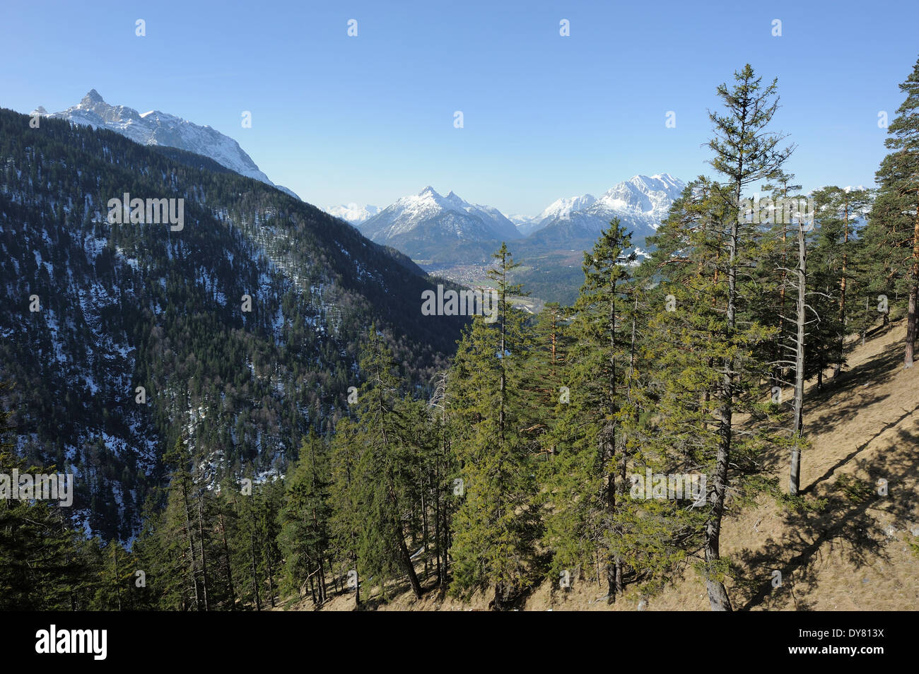 Wanderweg durch Koniferen mit Karwendel-Gebirge im Hintergrund, Mittenwald, Deutschland Stockfoto