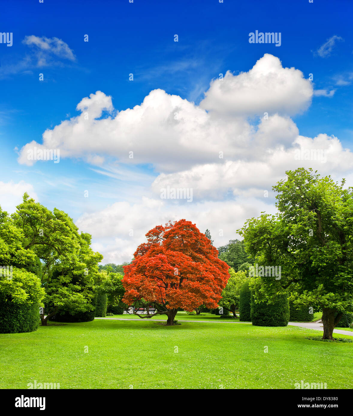 schöner Park Bäume über dramatische blauen Himmel. Herbst formalen Garten Stockfoto