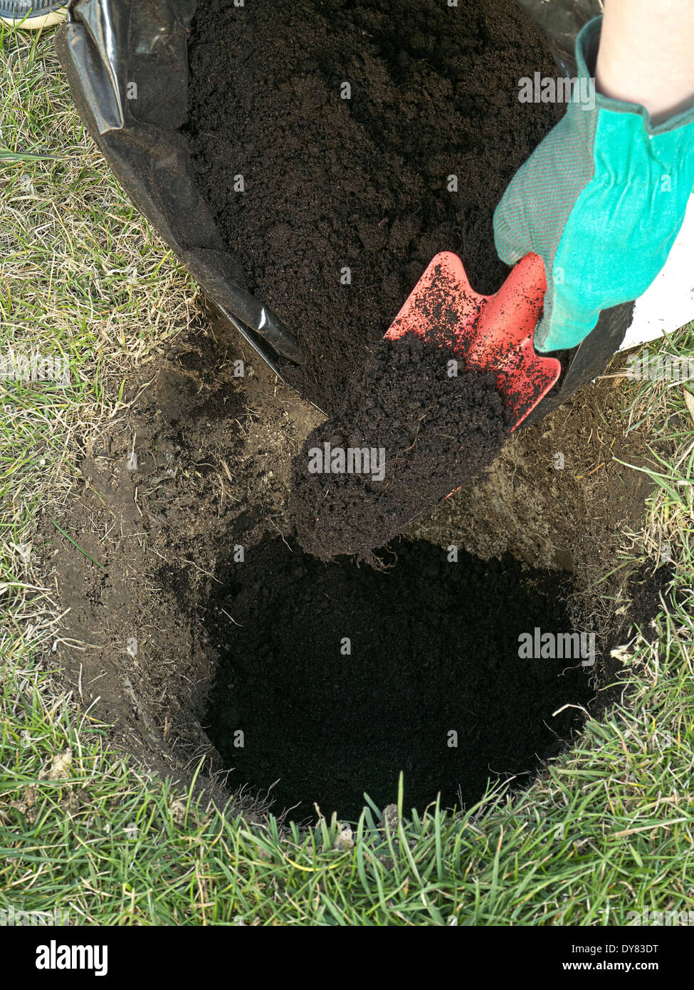 Nahaufnahme des Gärtners Hand füllen das Loch in den Boden mit Gartenerde als eines der Pflanzung Bühne gegraben Stockfoto