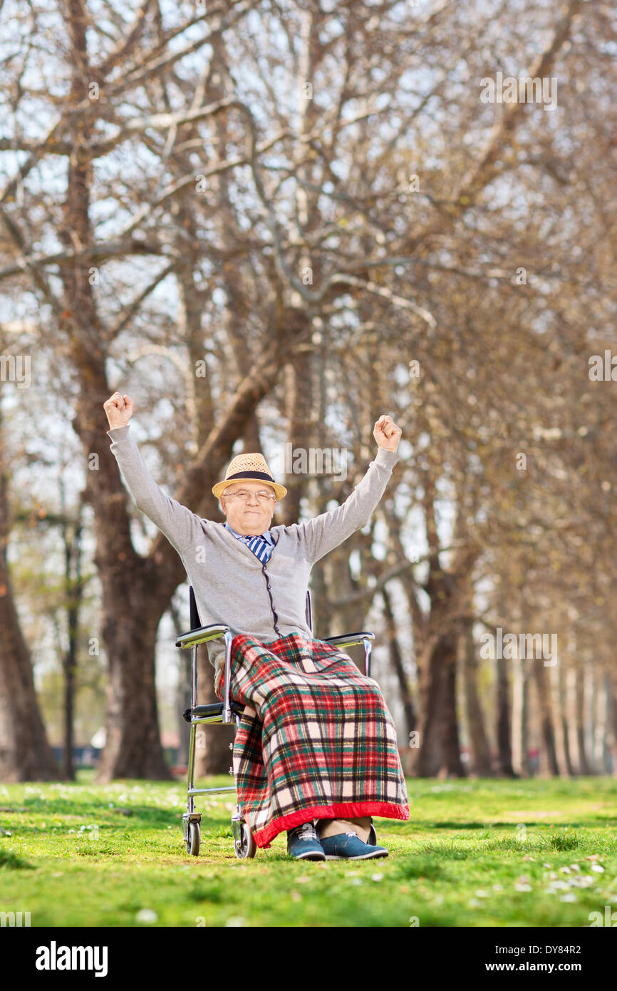 Glücklich Senior in einem Rollstuhl heben seine Hände in Freude im park Stockfoto