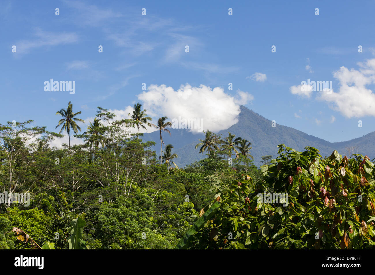 Mount Batur (Gunung Batur) - Aktiver Vulkan Stockfoto