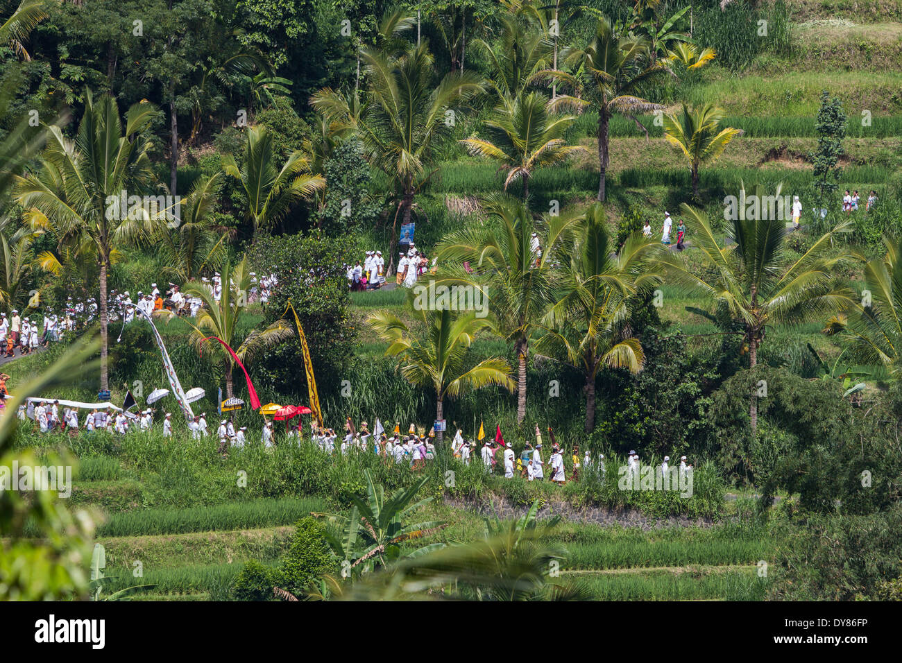 Die Prozession durch das Dorf Tegalalang, Bali Stockfoto