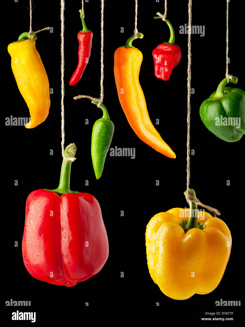 Eine Mischung aus süß und heiß Paprika hängen von natürlichen Schnur vor schwarzem Hintergrund Stockfoto