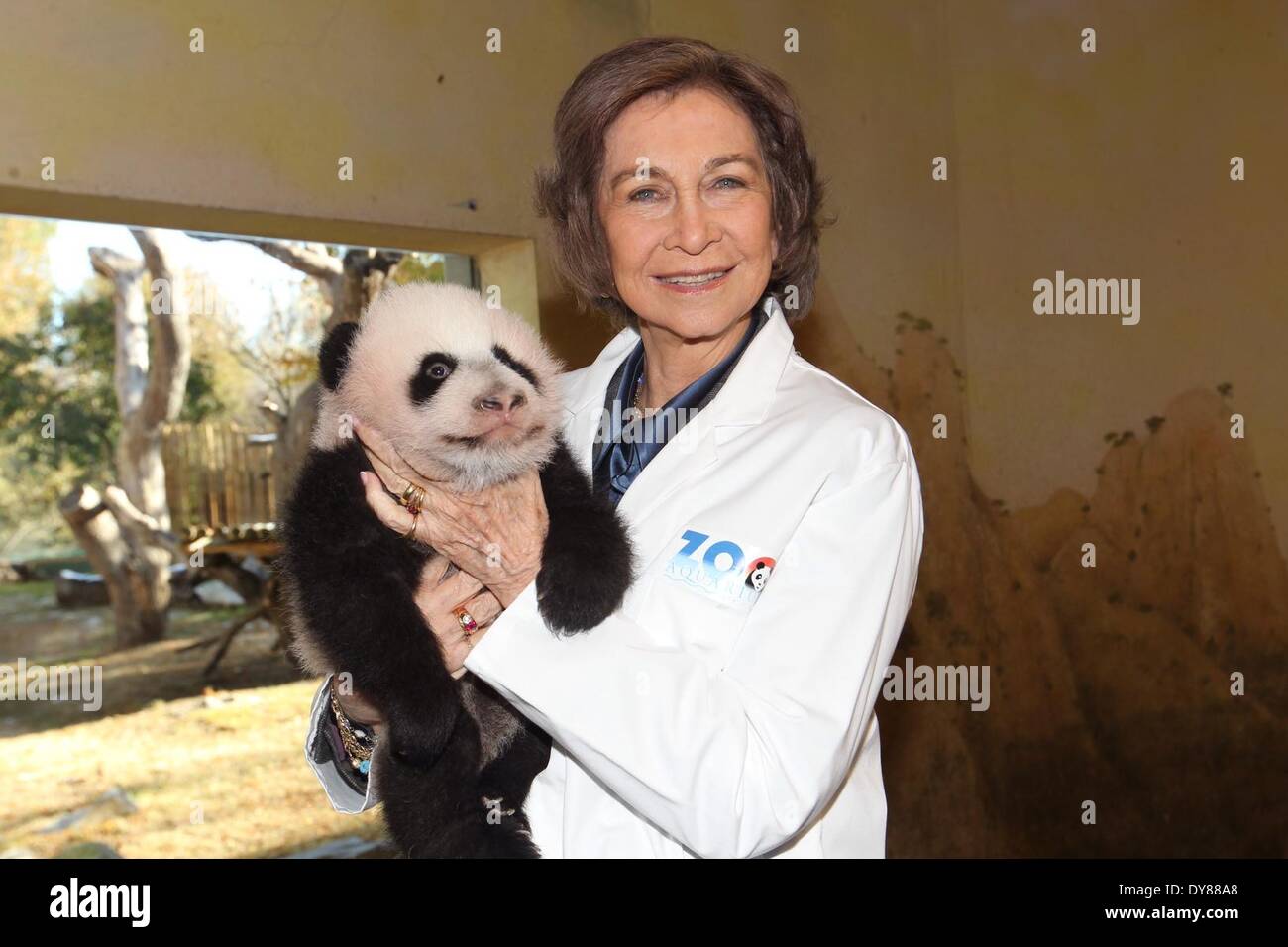 Madrid, Spanien.  9. April 2014. Foto aufgenommen am 28. November 2013 zeigt Spaniens Königin Sofia mit großer Panda 'Xing Bao' im Zoo in Madrid. "Xing Bao" war die vierte Panda im Zoo geboren. Bildnachweis: Xinhua/Alamy Live-Nachrichten Stockfoto