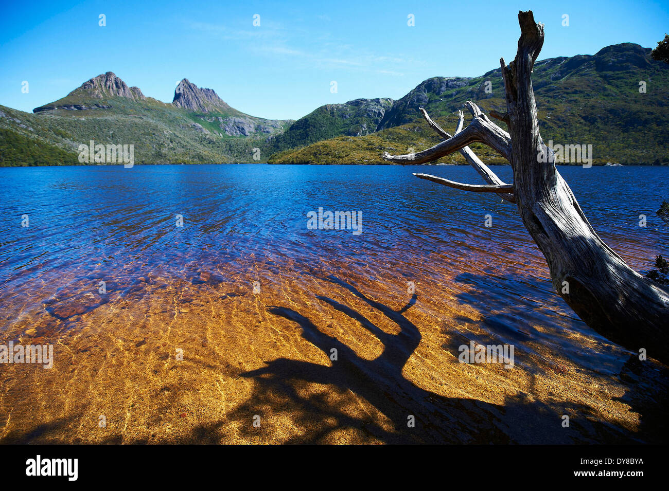 Australien, Cradle Mountain, Lake Dove, Nebel, Tasmanien, See, Victoria, Landschaft Stockfoto