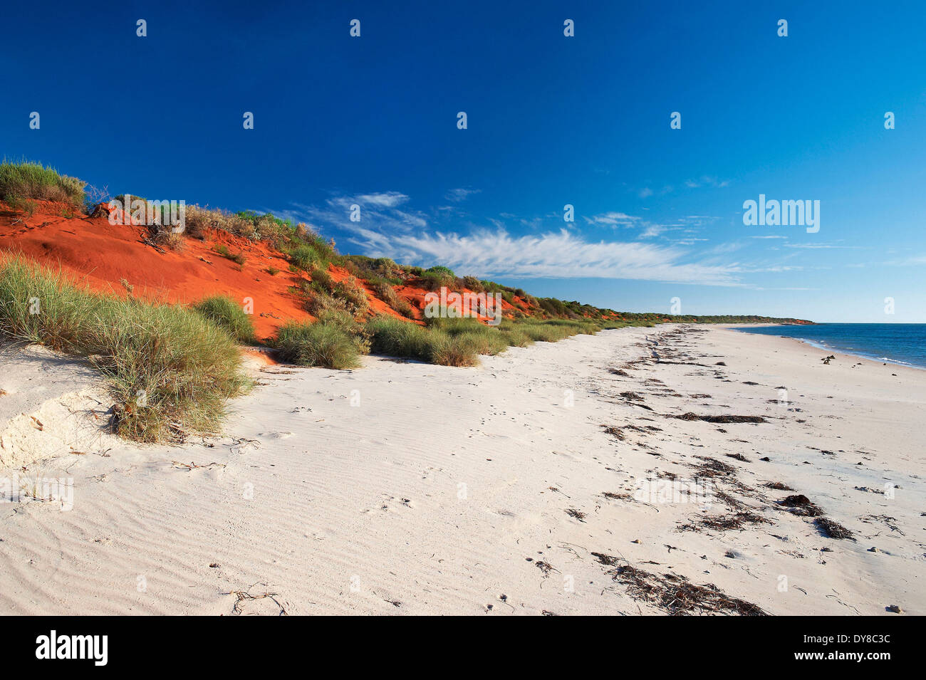 Australien, Francois Peron Nationalpark, Meer, Sand, Sand Strand, Western Australia, Küste Stockfoto