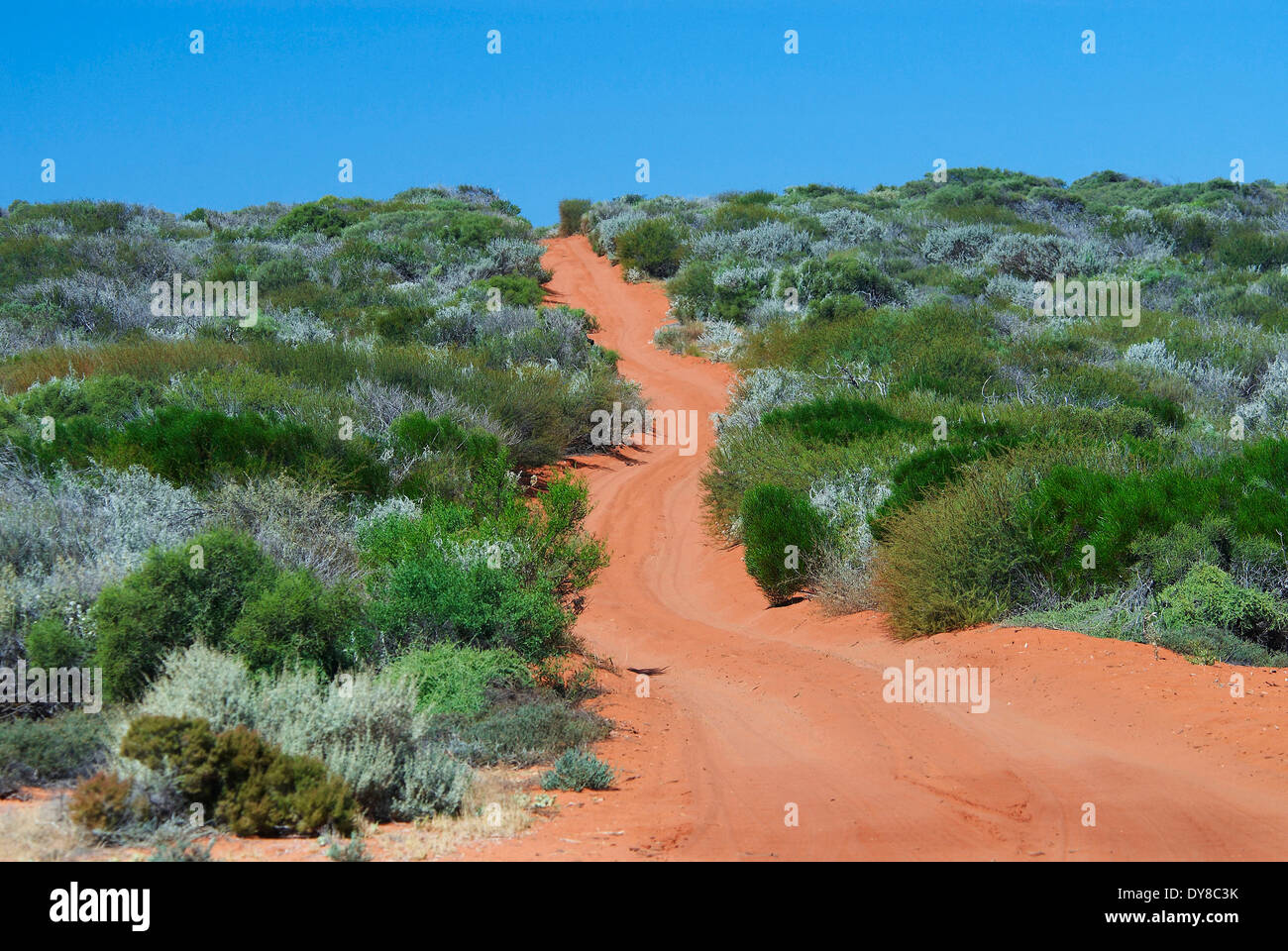 Australien, Francois Peron Nationalpark, sand, track, Western Australia, unbefestigte Straße, Straße Stockfoto