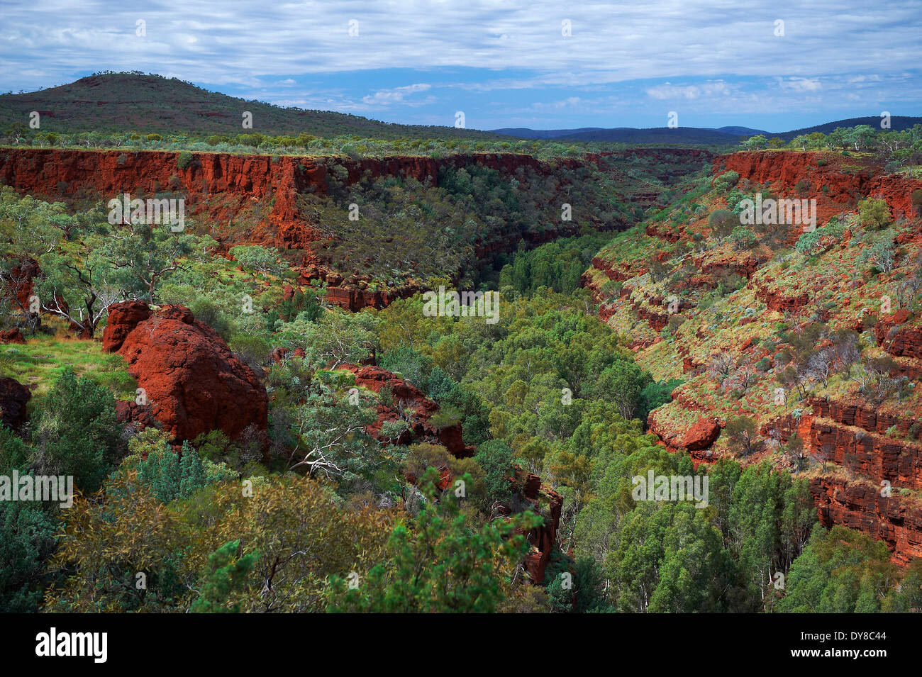 Australien, Klippe, Fels, Karijini Nationalpark, Gulch, Western Australia, Stockfoto