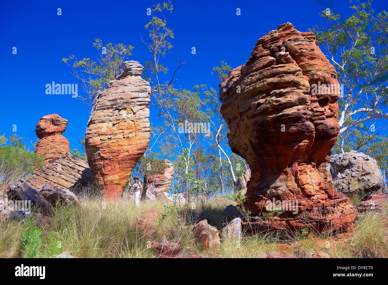 Australien, verlorene Stadt, Northern Territory, Roper, Limmen, Nationalpark, Klippe Bildung, Klippe Stockfoto