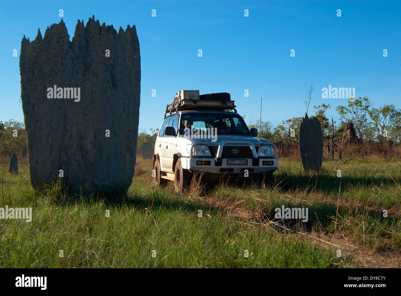 Australien, Litchfield, Nationalpark, Northern Territory, Termiten, Tier, cross-country Fahrzeug Termitenhügel Stockfoto
