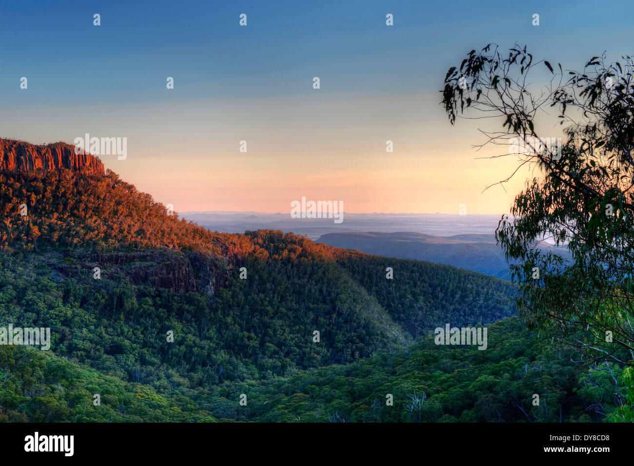 Australien, Mount Kaputar, Nationalpark, New South Wales, Sonnenuntergang, Sonnenuntergang, Stimmung, Holz, Wald, Stockfoto