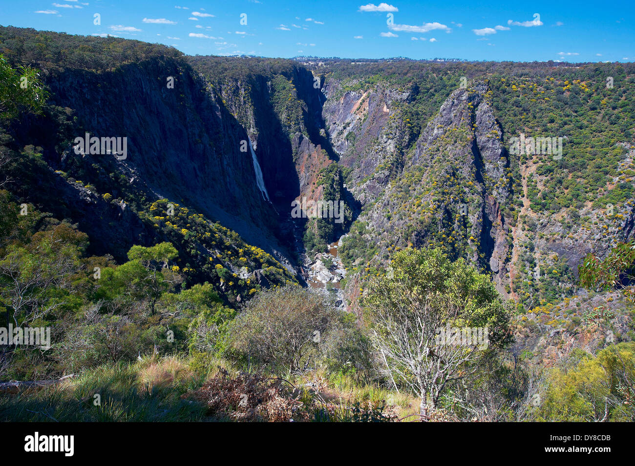 Australien, Klippe, Rock, New-South.Wales, Oxley, Nationalpark, Gulch, Landschaft Stockfoto