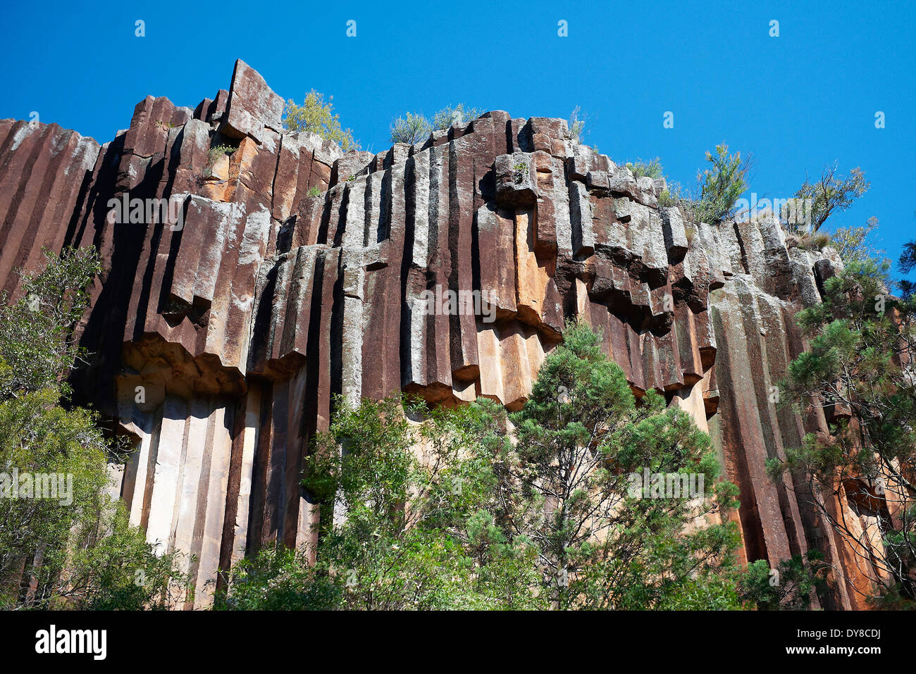 Australien, Basalt, Mount Kaputar, Nationalpark, New South Wales, Felsen, Klippe, Stockfoto